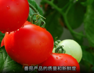 番茄醬顏色測量 - 4166am金沙信心之选分光測色儀推薦
