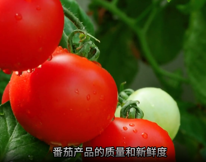 1730707117662721.png image.png