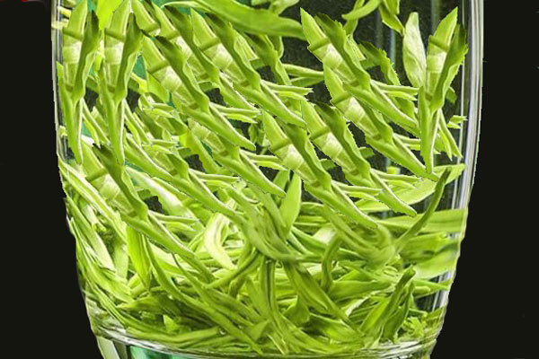 透射式分光測色儀用於茶葉色澤檢測與分類