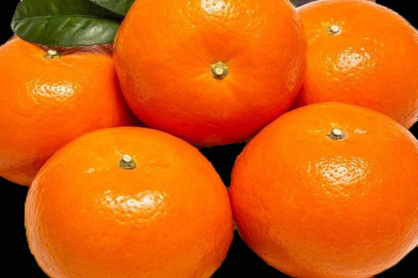 便攜式小口徑分光測色儀用於柑橘果皮色澤檢測