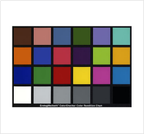 1755165043342002.jpg 1755165028183.jpg